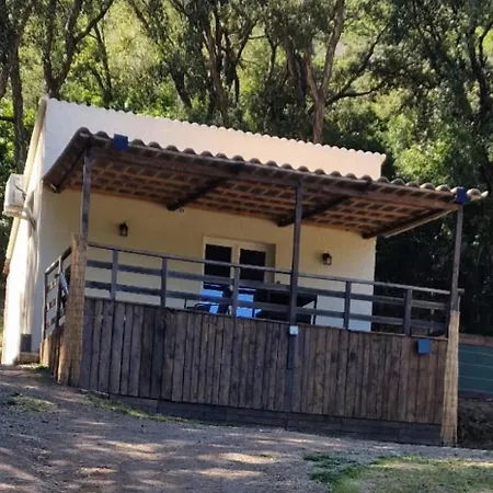 Maisonnette U Santu Ghjuvandria Ou A Santa Ghjulia Entre Et Montagne Appartement